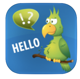 Call Voice Changer app icon